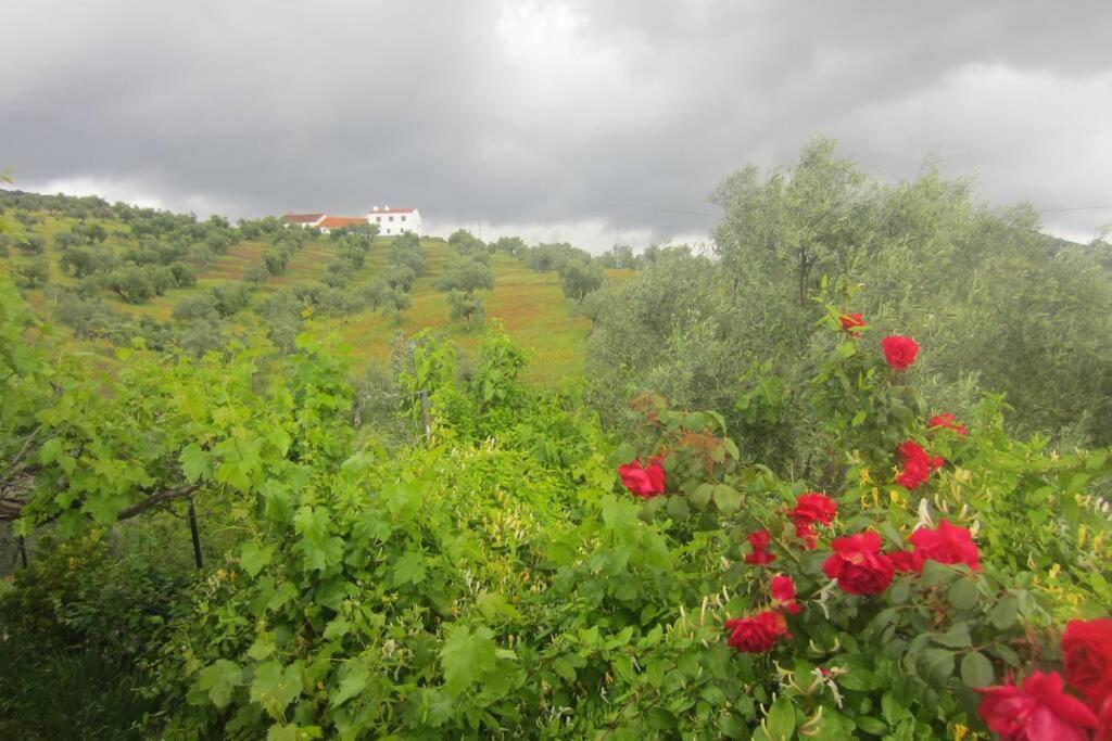 Ferienhaus Cortijo 