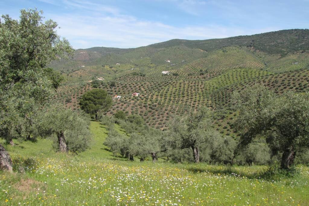 Hébergement de vacances Cortijo 