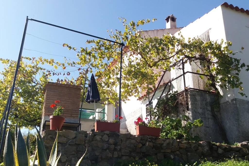 Hébergement de vacances Cortijo 