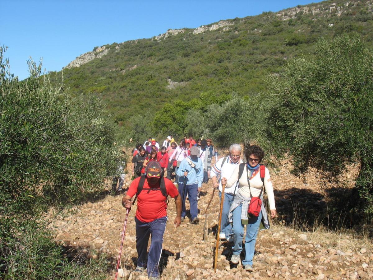 Hébergement de vacances Cortijo 